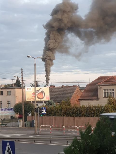 Zgłosiłem 3 projekty do Budżetu Obywatelskiego Gminy Swarzędz – SmogSTOP